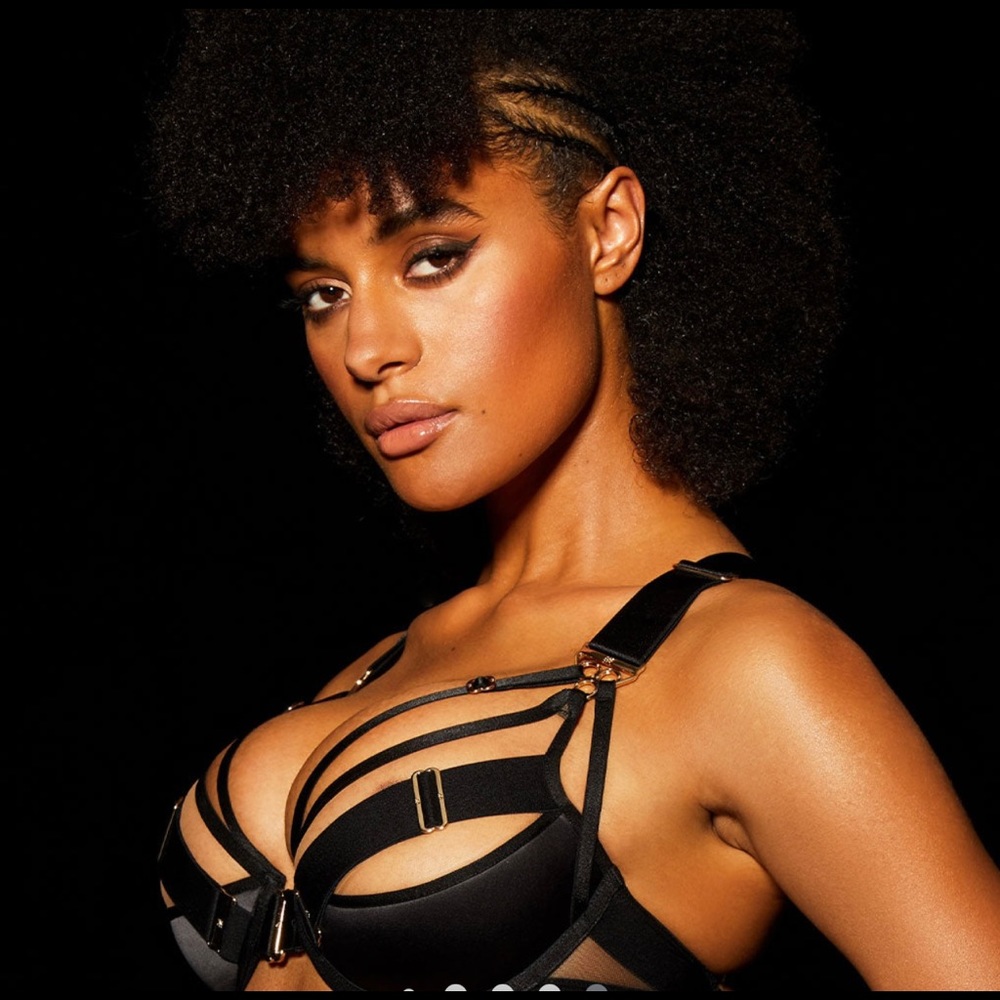 NWT Adriana Bra Size 32G by Honey Birdette never worn or tried on.